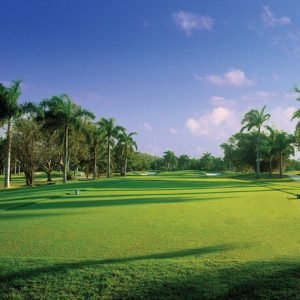 Exclusive Golf Tours